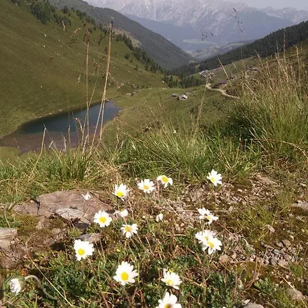 Maria & Luis * Kolsass