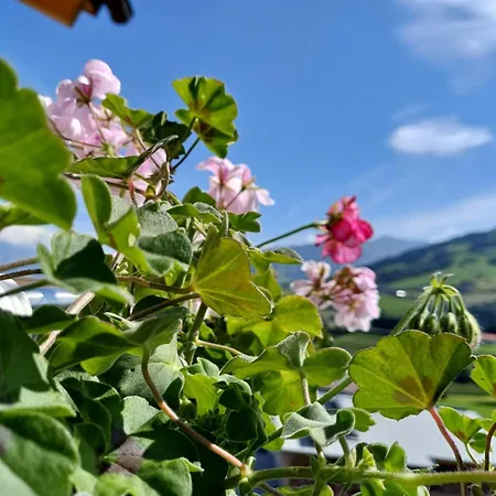 Maria & Luis Lejlighed