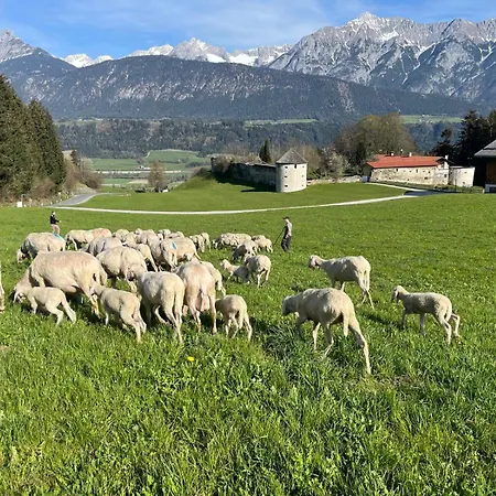 Maria & Luis Kolsass