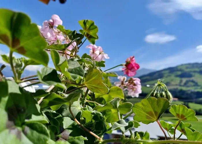 Maria & Luis Lejlighed