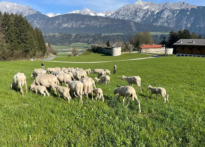 Maria & Luis Kolsass